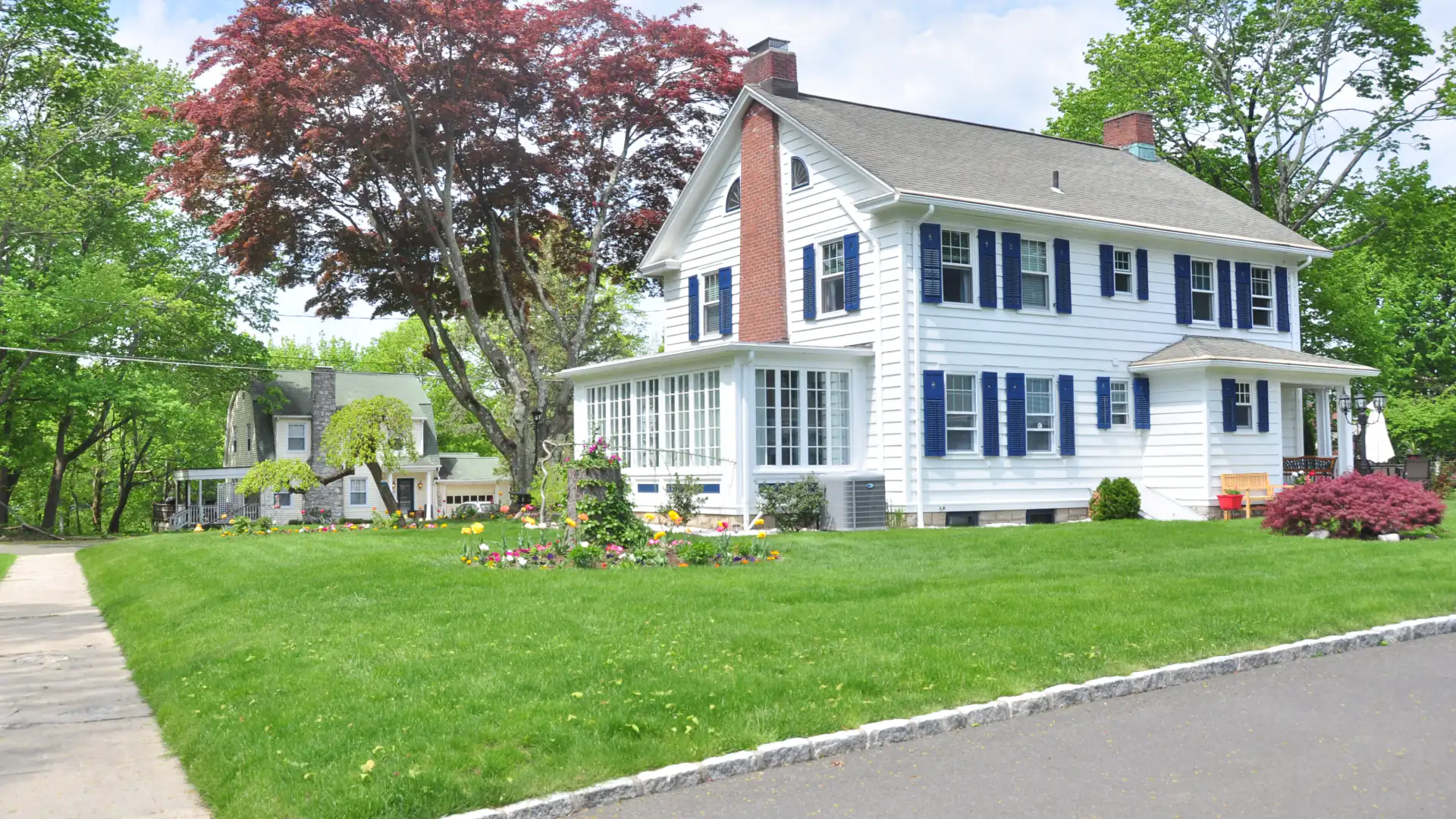 bright green grass and house with white siding and blue shutters